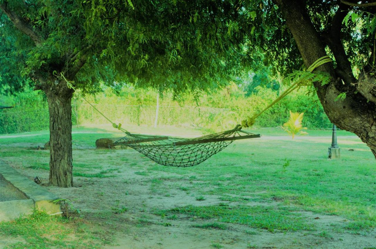 Forestville Яла Екстериор снимка