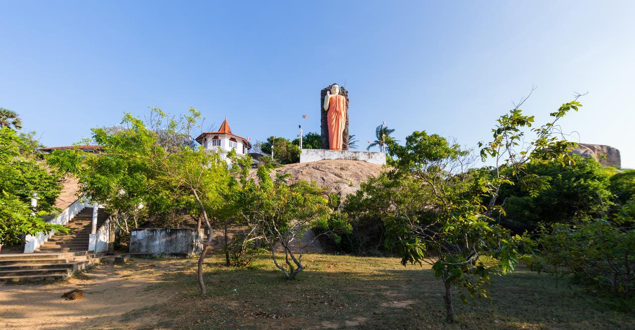 Forestville Яла Екстериор снимка